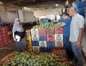 115 مخالفة تموينية وضبط 6 أطنان فراولة ومانجو مجهولة البيانات بالإسماعيلية