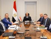 وزير الخارجية يلتقي الموظفين المصريين العاملين بالاتحاد الأفريقى