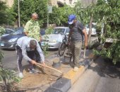 زراعة أشجار بشارع النيل فى الدقى والعجوزة ضمن مبادرة اتحضر للأخضر.. صور