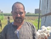753 فدانا تزين حقول أسيوط بالذهب الأبيض.. والقطن المصري يستعيد بريقه.. محافظ أسيوط: الاهتمام بمحصول القطن ضمن توجه الدولة للحفاظ على المحاصيل الاستراتيجية وتعظيم قيمتها الاقتصادية.. صور