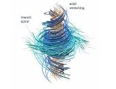 إنجاز تاريخى.. OpenAI تحل مسألة رياضيات عجز عنها البشر منذ عام 2000