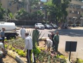 زراعة نخيل بشارع البحر الأعظم ونباتات مزهرة بالدقى والعجوزة ضمن "اتحضر للأخضر"