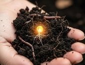 تفسير حلم جذور تنمو من كف يدك.. ماذا تعنى لحالتك النفسية والاجتماعية؟