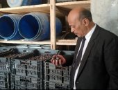 ضبط 22 طن زيتون مخلل غير صالح للاستهلاك الآدمي داخل منشأة غير مرخصة بطنطا