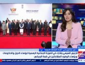 أستاذ علاقات دولية: لقاء السيسي وبزشكيان يؤكد أهمية الحلول السلمية واستقرار المنطقة