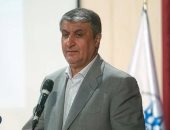 طهران تندد بسحب النمسا تأشيرة رئيس "الطاقة الإيرانية" ومنعه من حضور المؤتمر 