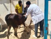 جامعة قناة السويس تنظم قافلة شاملة لخدمة أهالى فايد