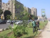 الجيزة تستكمل خطة التشجير.. زراعة أشجار ونباتات مزهرة بأحمد عرابى والبحر الأعظم