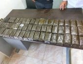 جمارك نويبع تحبط محاولة تهريب 280 فرش حشيش داخل شاحنة متجهة إلى الأردن