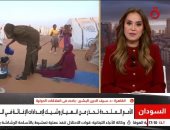 باحث سودانى: الميليشيا المتمردة تتراجع بشكل كبير وتمضى إلى زوال