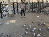 أيقونة السلام في الحرم.. "اليوم السابع" يرصد مشاهد رائعة لحمام الحمى