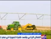 أشرف كمال لإكسترا نيوز: التوسع الزراعي يدعم الأمن الغذائي وزيادة الصادرات