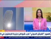 مدير محميات البحر الأحمر: القرش الحوتى مسالم ولا يمثل خطورة