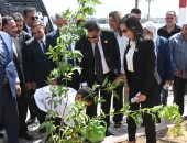 بالتزامن مع احتفال العيد القومى.. انطلاق فعاليات مبادرة معًا نزرع بمدينة رشيد
