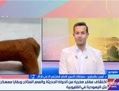 كشف أثرى جديد.. أيمن عشماوى: كان حصنًا أماميًا للهكسوس وسيطر على طرق الوصول