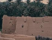 خبوب بريدة.. ذاكرة جسدت علاقة الإنسان بأرضه في منطقة القصيم بالسعودية