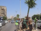 محافظ الجيزة يوجه بالتوسع في التشجير وتجميل المحاور والميادين