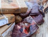 ضبط أسماك ولحوم ودواجن وسلع غذائية مجهولة المصدر وغير صالحة بكفر الشيخ