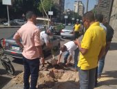 زراعة أشجار بشارعى التحرير والسودان بالدقى ضمن مبادرة «اتحضر للأخضر»