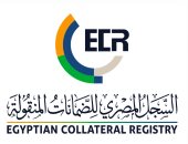 الرقابة المالية تفتح خزائن التمويل وتطور السجل الإلكترونى