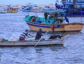 بعد المصيف وزحمة الصيف.. الاستمتاع بجمال الإسكندرية 