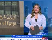 أستاذ استثمار: تثبيت أسعار الفائدة السيناريو الأقرب باجتماع المركزى