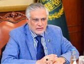 وزير الخارجية الباكستانى يشيد بجهود مصر والولايات المتحدة لإنهاء الصراع فى غزة