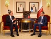وزير الخارجية يؤكد لرئيس وزراء قطر رفض مصر المساس بأمن دول الخليج