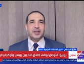 خبير علاقات دولية: أزمة الأمم المتحدة في إرادة الدول الكبرى