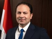 برلمانى: الدبلوماسية المصرية أثبتت محورية دور القاهرة في صناعة التوازنات الإقليمية