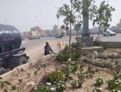 زراعة وتكويد الأشجار بالطريق الدائرى فى الطالبية ضمن مبادرة «اتحضر للأخضر».. صور