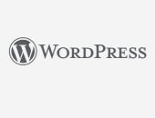 تنبيه أمنى لأصحاب المواقع..  ثغرة حرجة فى منصات WordPress