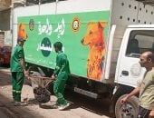 محافظ الدقهلية يكلف الطب البيطرى بتكثيف حملات مواجهة الكلاب الضالة