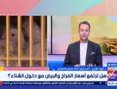 منتجى الدواجن: إنتاج المزارع يحقق الاكتفاء الذاتي والأسعار دون التكلفة