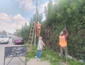 استمرار تطوير وتجميل شوارع الإسماعيلية.. رفع كفاءة 30 فدانا بالدائرى