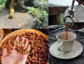 الكيلو بـ 67 ألف جنيه.. أغلى أنواع القهوة فى العالم من فضلات حيوان
