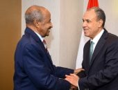 وزير الخارجية ونظيره الإريتري يبحثان سبل تعزيز العلاقات الثنائية والتنسيق إزاء القضايا الإقليمية