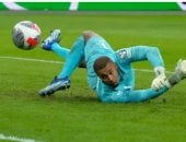 لاعبو أيرلندا يرفضون مواجهة منتخب إسرائيل بسبب الإبادة الجماعية في غزة