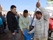 تعرف على مطحن إنتاج الدقيق التمويني بمدينة كفر الشيخ × 21 معلومة