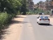 التشجير يمتد بطول طرق أبو النمرس.. 2400 شجرة بـ6 أكتوبر و1200 بالمنصورية