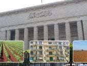 عندما تستغل الوكالة للسمسرة.. النقض تعيد رسم الحدود بين حقوق الموكل والوكيل