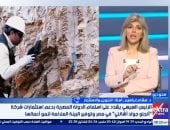 أستاذ تمويل: استقرار التشريعات والتنظيم يدعم زيادة الاستثمارات في قطاع التعدين