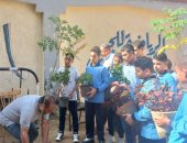 «اتحضر للأخضر» فى مدارس إمبابة.. تدريب الطلاب على زراعة الأشجار