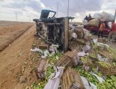 خسر رزقه وقعد حزين على الرصيف.. لكن جدعنة المصريين جبرت خاطره "فيديو"