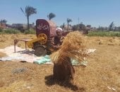 الاكتفاء الذاتى ودعم الفلاح وزيادة الصادرات.. أبرز 3 ملفات على مائدة زراعة النواب