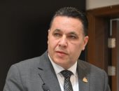 عماد الغنيمى: مصر تعزز حضورها الأفريقى من بوابة منتدى العلمين