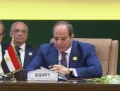 الرئيس السيسى: التنمية الحقيقية لا تأتى من الخارج وإنما تصنع بإرادة القارة