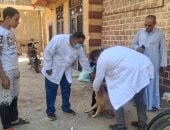 محافظ سوهاج يوجه بالتعامل الفوري مع واقعة تعرض 11 شخصاً لعقر كلب بساقلتة