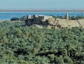موسم حصاد خيرات الطبيعة من البلح والزيتون في واحة سيوة