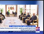أستاذ علاقات دولية: مصر تقود تحركات لتعزيز التكامل الأفريقي